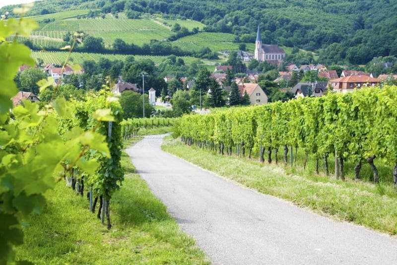 Appartement Avec Terrasse Entre Vignes, Balades, Alsace Guebwiller Extérieur photo